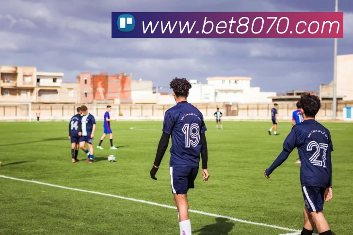 bet365com平台生态图